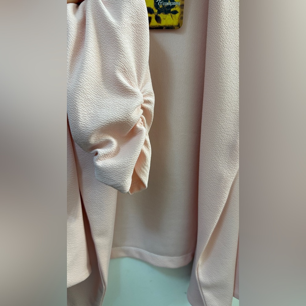 🌸 Hybrid & Co. Peach Pink Textured Blazer | Plus Size 1X | NWT - Picture 5 of 11